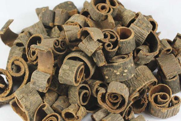 The Efficacy and Applications of Hou Po (Magnolia Bark) in Traditional Chinese Medicine