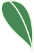 Spring Health Preservation Dietary Recipes Recommendations