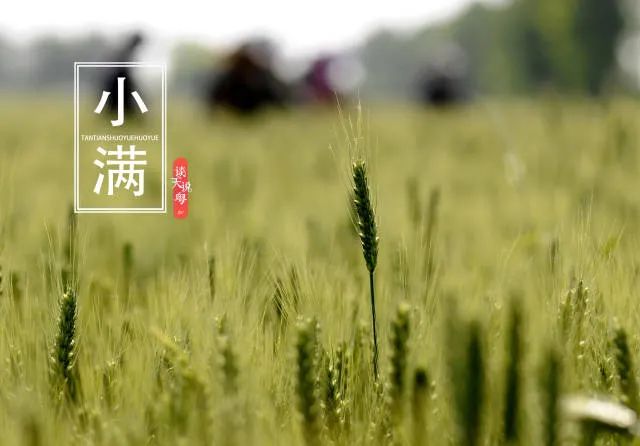 Preparing for the Humid and Hot Days of the Year: Tips for Health During Xiaoman