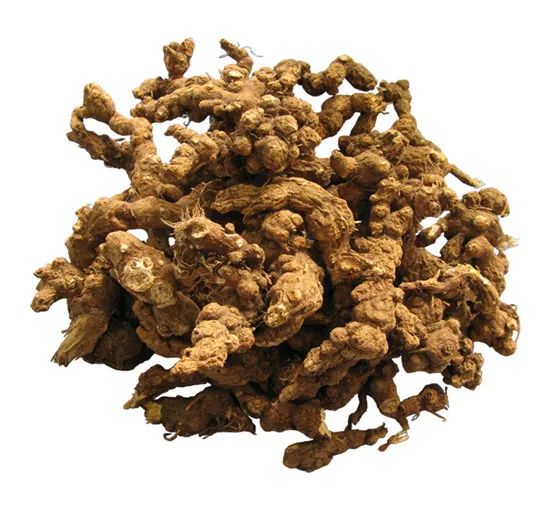 Introduction to Cang Zhu (Atractylodes)