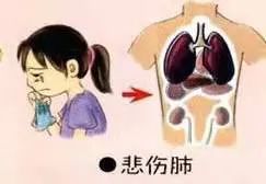 The Impact of Emotional Disturbances on Our Physical Health in Traditional Chinese Medicine