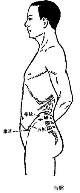 The Concept and Physiological Characteristics of the Eight Extraordinary Meridians