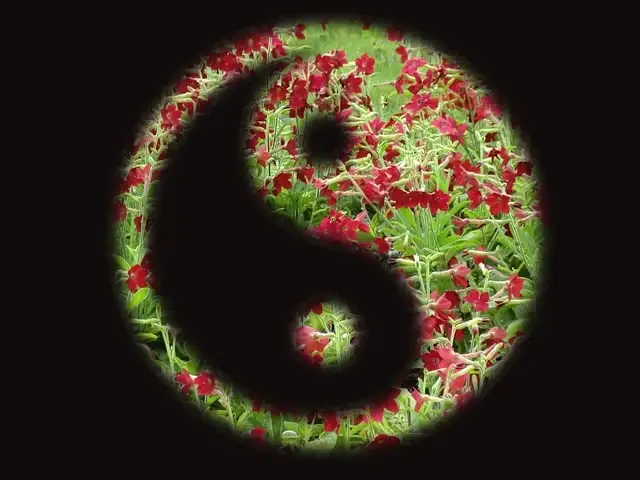 Understanding Qi Deficiency, Blood Deficiency, Yin Deficiency, and Yang Deficiency: How to Regulate Your Health