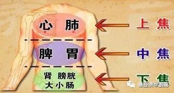 Analysis of TCM Syndrome Differentiation and Treatment