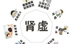 Understanding Yin Deficiency Syndrome: Heart, Lung, Liver, and Kidney Yin Deficiency