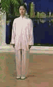 Comprehensive Guide to Tai Chi Movements: Exercise at Home!
