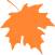 Experience Collection of Fire Needle Therapy