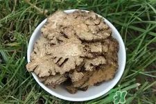 The Efficacy and Therapeutic Uses of Chuanxiong (Ligusticum chuanxiong)