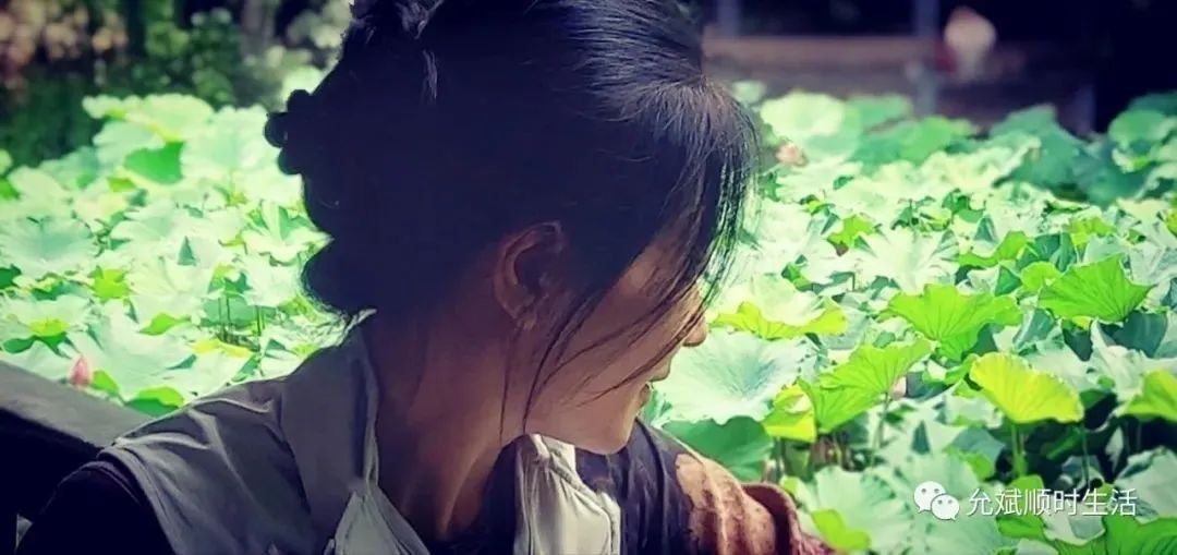 Herbs for Treating White Hair: A Traditional Perspective