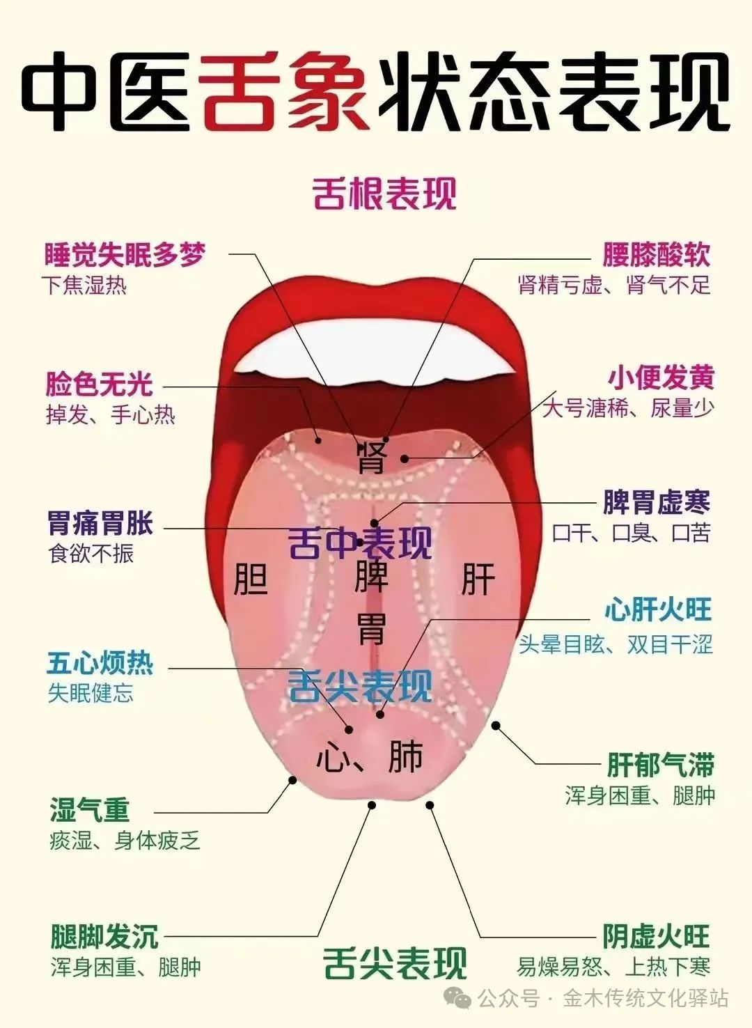 Traditional Chinese Medicine Tongue Diagnosis (Recommended for Collection)