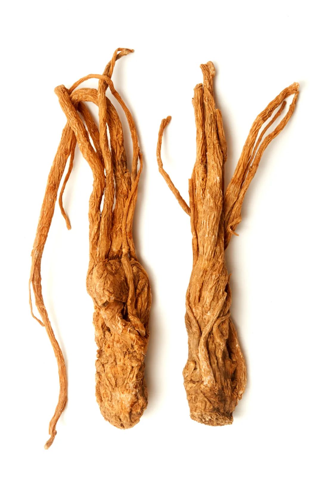 Angelica Sinensis: The Story Behind This Chinese Herbal Medicine