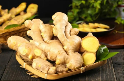 The Differences Between Fresh Ginger (Sheng Jiang) and Dried Ginger (Gan Jiang): How to Choose the Right One for You?