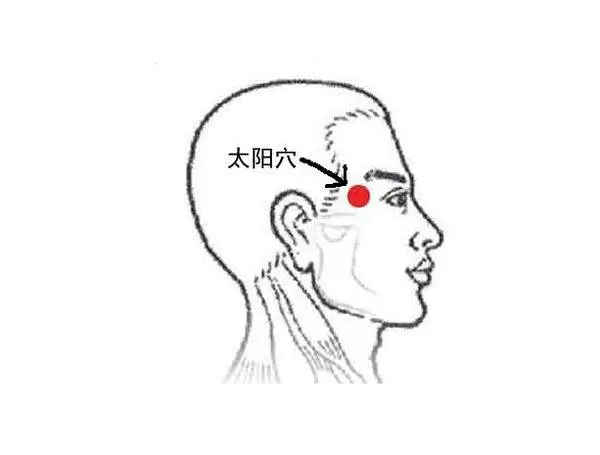47 Unique Acupuncture Points Worth Seeing! (Collector's Edition)