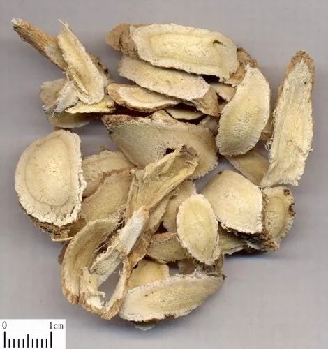 Astragalus (Huang Qi)