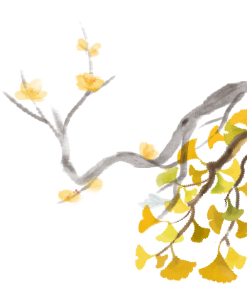Warming Yang Cupping: Balancing Yin and Yang to Prevent Autumn Dryness