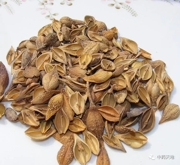 Clearing Heat and Detoxifying Herbs