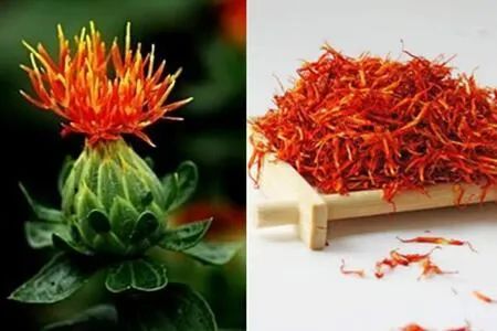 Hong Hua (Safflower) - A Comprehensive Overview