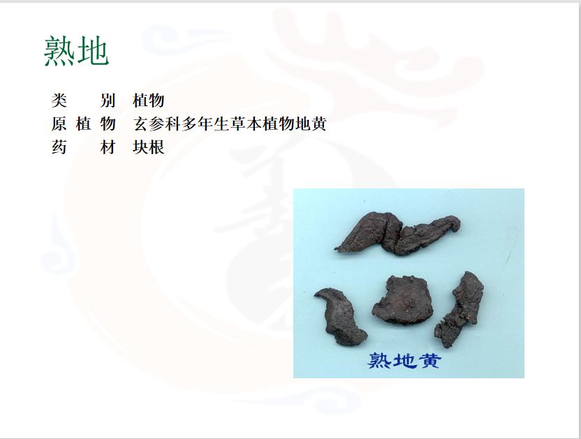 Daily Herb - Shú Dì Huáng (Rehmannia Root) [Tonifying Herb]