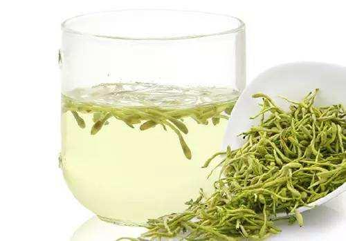 The Marvelous Medicinal Herb: Jin Yin Hua (Honeysuckle)