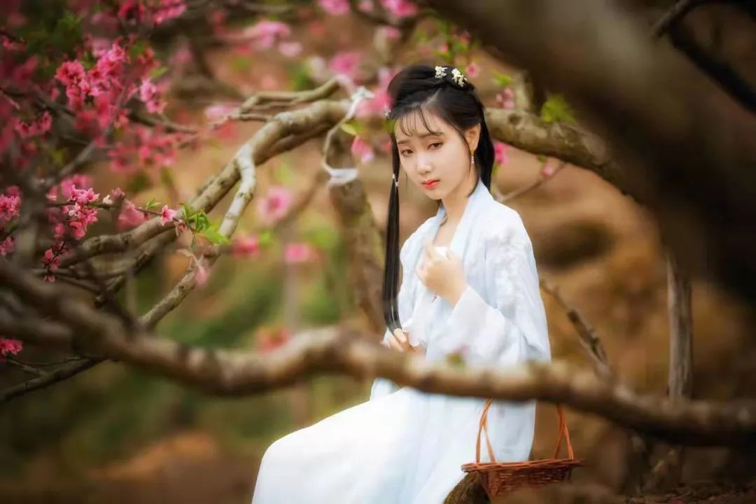 The Impact of Emotional Disturbances on Our Physical Health in Traditional Chinese Medicine
