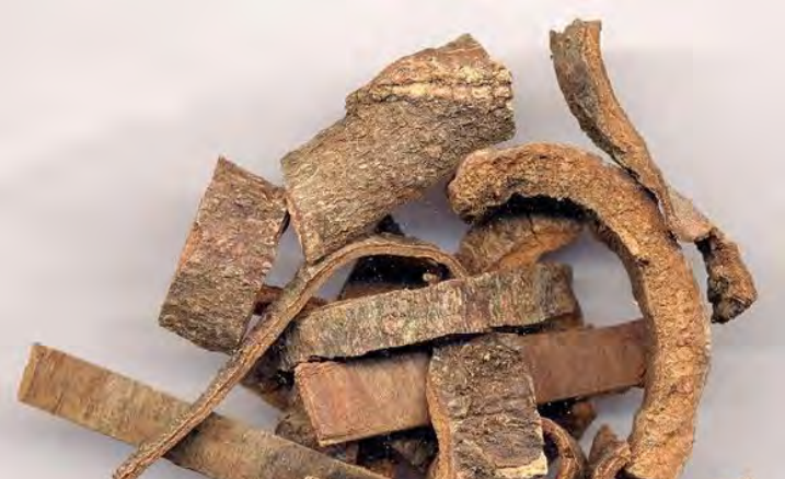 Traditional Chinese Medicine Herb: Cinnamon