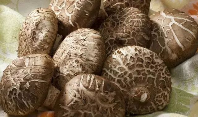 What Traditional Chinese Medicines Are Effective for Spleen and Stomach Deficiency, Damp-Heat, and Weakness?