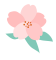 The Benefits and Uses of Hong Hua (Safflower) in Traditional Chinese Medicine