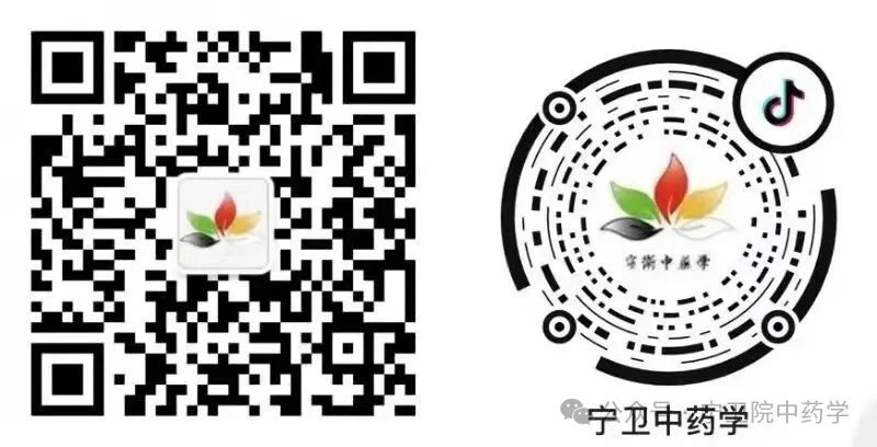 Exploring Cinnamon: Understanding Its Varieties and Uses in TCM