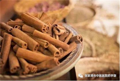Cinnamon: A Comprehensive Overview of Its Properties and Uses in Traditional Chinese Medicine