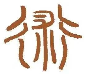 Cang Zhu (Atractylodes) - Drying Dampness, Strengthening the Spleen, and Treating Damp Bi