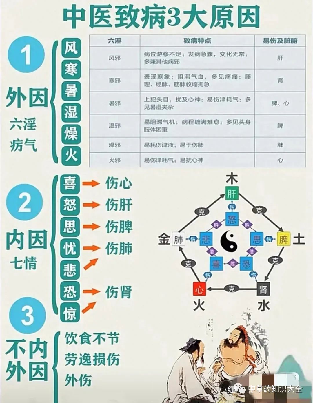 Understanding TCM Diagnosis: Eight Principles and Organ Differentiation to Enhance Your Diagnostic Skills!