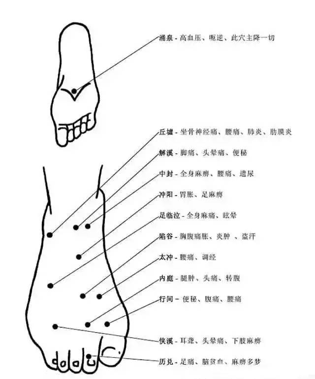 Comprehensive Explanation of Human Acupuncture Points and Their Effects: A Must-Read for Acupuncture Students!