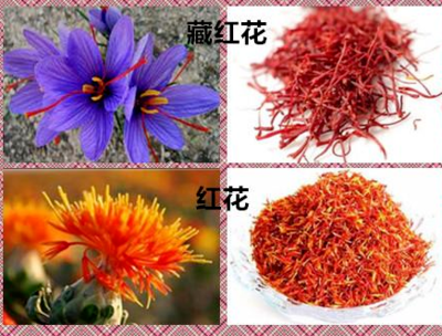 Hong Hua (Safflower) - A Comprehensive Overview