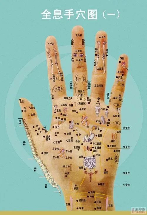 Comprehensive Guide to Holographic Diagnosis in Traditional Chinese Medicine