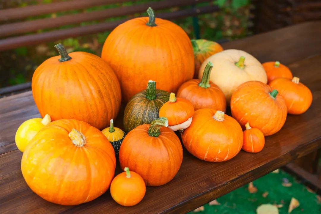 20 Vegetarian Foods for Blood Nourishment