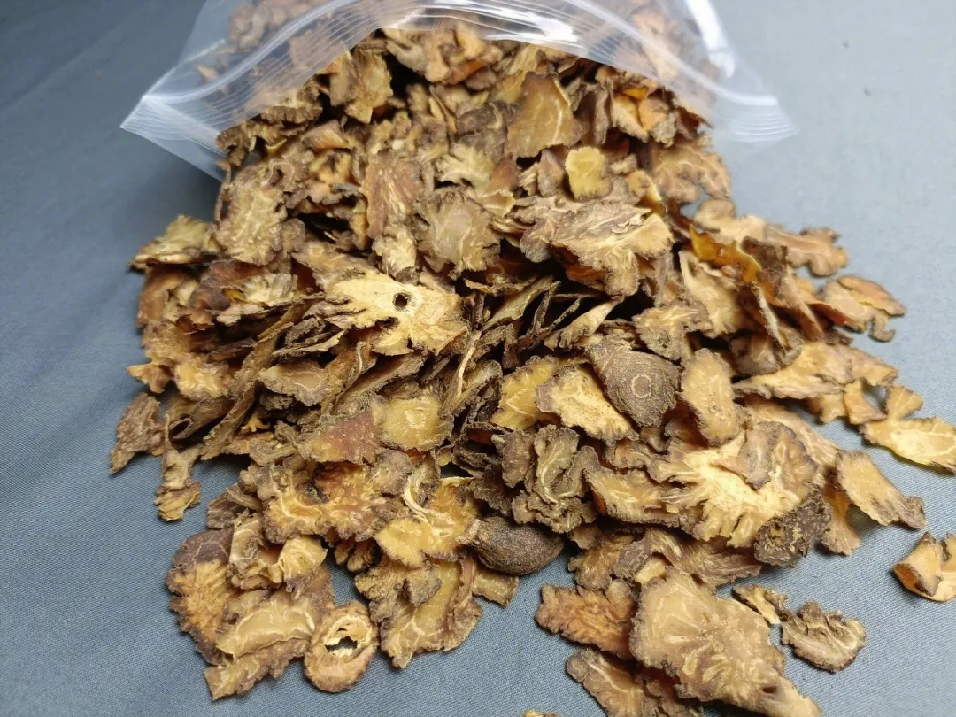 Daily Herb Insight: Promoting Blood Circulation, Dispelling Wind, and Alleviating Pain