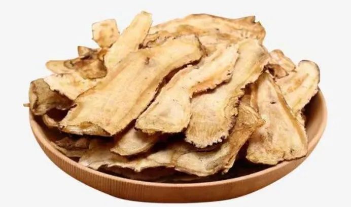 The Medicinal and Culinary Uses of Angelica Sinensis (Dang Gui)