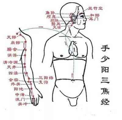 The Huangdi Neijing: Meridians, Determining Life and Death, Addressing Hundreds of Diseases