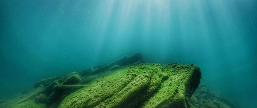 Understanding the Deep Pulse (Chen Mai)