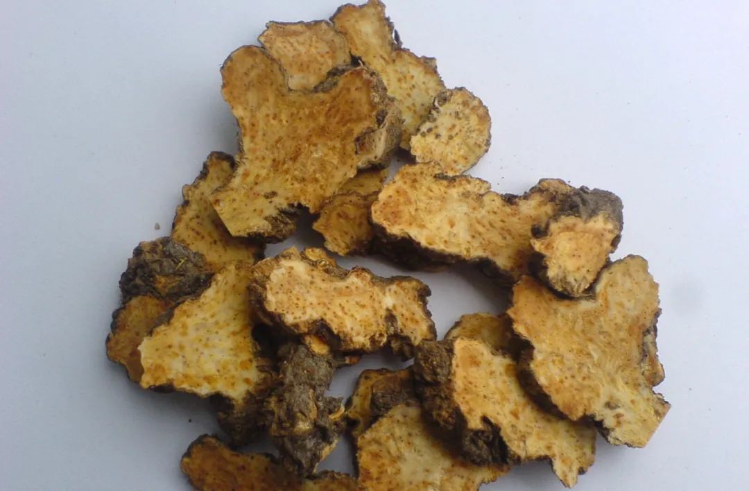 Differences in Efficacy Between Cang Zhu and Bai Zhu