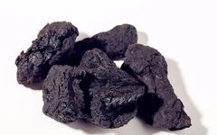 The Efficacy of Rehmannia Glutinosa