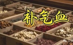 Top 10 Foods for Qi Nourishment and Health