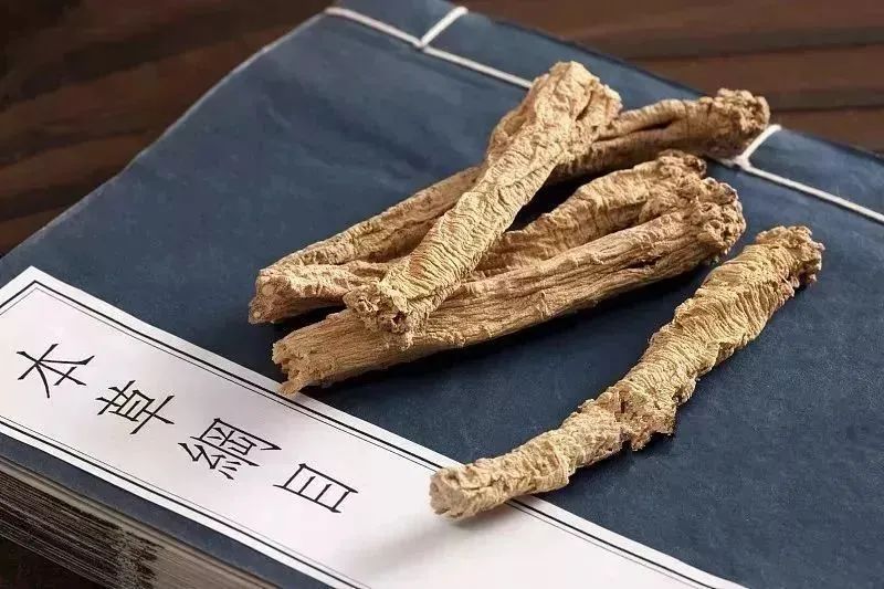 Knowledge of Ginseng Part Seven - The Effects and Usage of Codonopsis