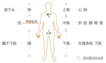 Understanding the Different Manifestations and Causes of Cold and Heat Syndromes in the Huangdi Neijing