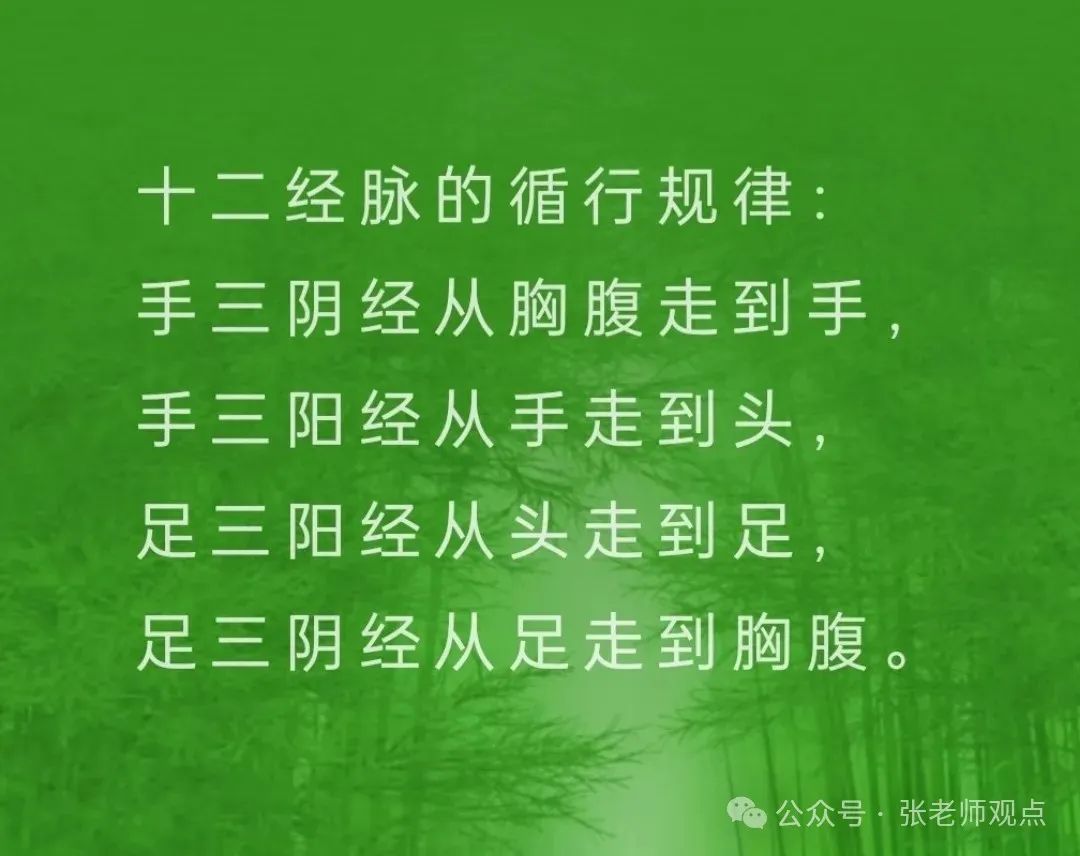 Differentiation of Eight Principles and Six Meridians (Liu Duzhou)