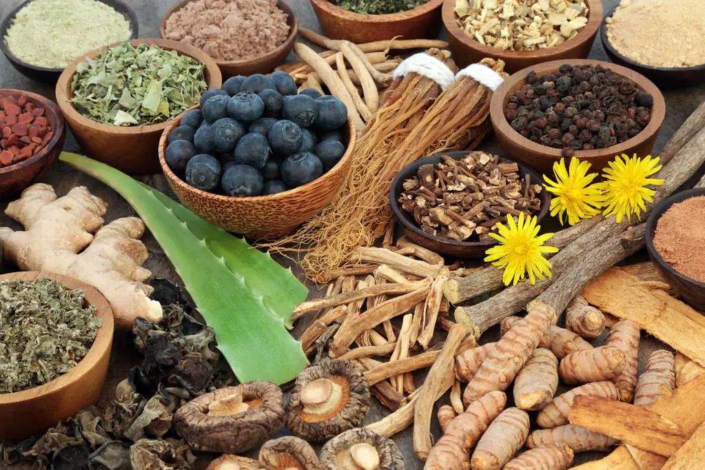 Seven Types of Body Constitution Adjustment: Qi Deficiency Constitution