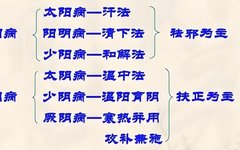 Understanding the Classics: Key Insights from the "Shang Han Lun" (Collector's Edition)
