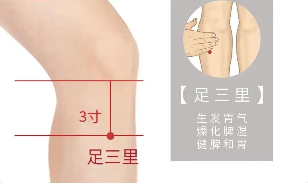 Understanding Qi Deficiency: Boost Your Vital Energy by Stimulating These 5 Acupuncture Points!