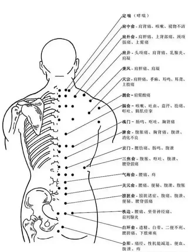 Comprehensive Explanation of Human Acupuncture Points and Their Effects: A Must-Read for Acupuncture Students!