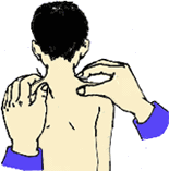 A Collection of 21 Common Pediatric Tuina Techniques with Animated Illustrations: Learning is Endless!